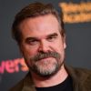 David Harbour Appears to Have Dropped a Huge Avengers: Doomsday Spoiler