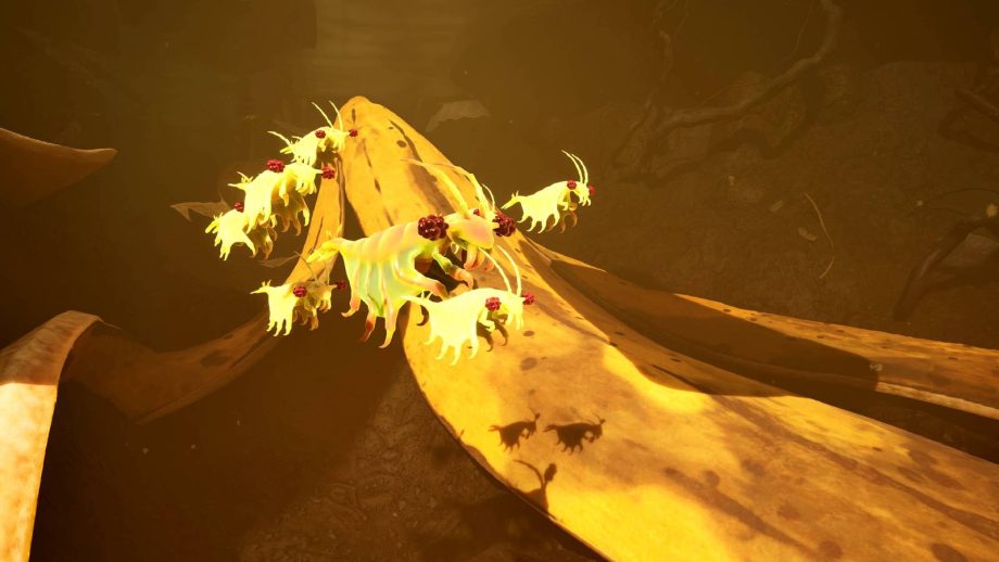 Where to find the pond jockey location in Grounded 2