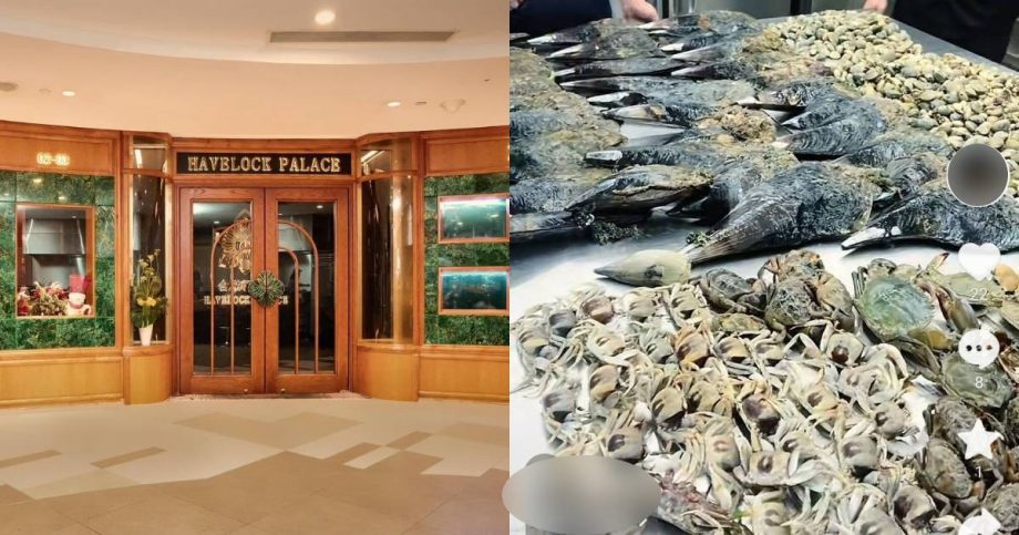 Restaurant apologises for cooking seafood foraged from Changi Beach, Singapore News Restaurant apologises for cooking seafood foraged from Changi Beach, Singapore News