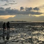 Foraging in Singapore: Unethical practices threaten biodiversity and cultural heritage
