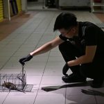 This Singapore ex-soldier now wages war on pests – Asia News Network