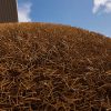 Forget GTA 6, Everyone is Obsessed with the ‘Find a Needle in a Haystack’ Game