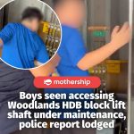 @mothershipsg A group of boys allegedly accessed a lift shaft under maintenance …
