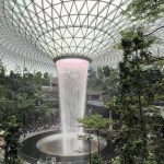 @travellingyogiretreats Who’s coming with me? #singapore #foodie #offthebeatenpl…