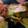@uuser8146168135709 10 Best Singapore Street Foods (Ranked)! – P7 #street #best …