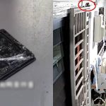 Grandma battles rat infestation with homemade recipe, catches nearly 20 in 3 weeks, Singapore News