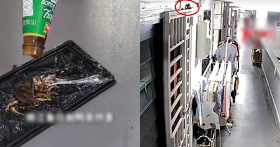 Grandma battles rat infestation with homemade recipe, catches nearly 20 in 3 weeks, Singapore News Grandma battles rat infestation with homemade recipe, catches nearly 20 in 3 weeks, Singapore News