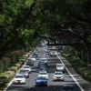 New law to clamp and seize deregistered vehicles in Singapore