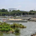 Man to be charged for fake crocodile pic at Pandan Reservoir