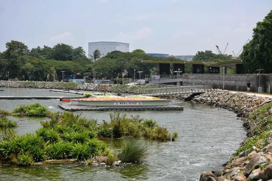 Man to be charged for fake crocodile pic at Pandan Reservoir