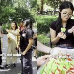 ‘Pandan is like Southeast Asian vanilla’: New Yorkers rave over pandan chiffon cake with kaya after taste test, Lifestyle News