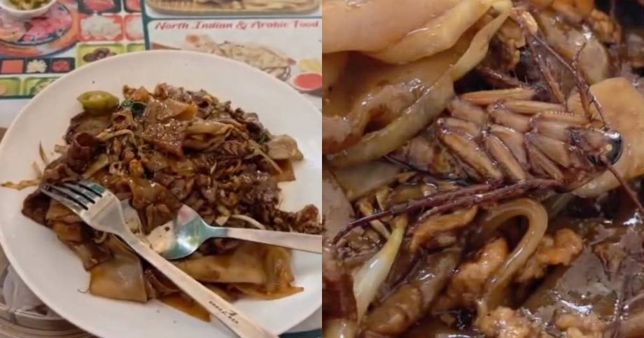 ,000 over a cockroach? Diner seeks compensation after allegedly finding insect in char kway teow, Singapore News