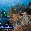 Malaysian woman scuba diving in Bali dies after being swept away by currents