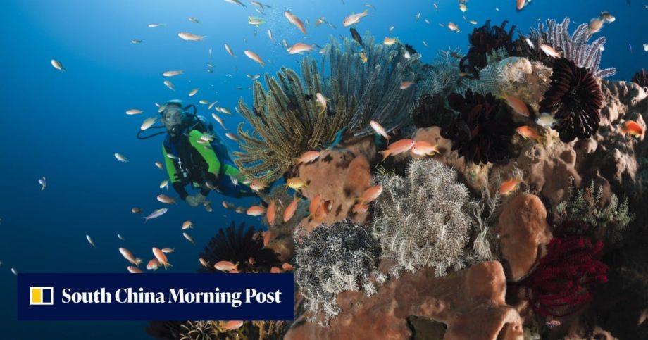 Malaysian woman scuba diving in Bali dies after being swept away by currents Malaysian woman scuba diving in Bali dies after being swept away by currents
