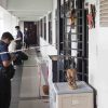 Woman who killed adoptive father over Sengkang flat loses appeal against 18-year jail term