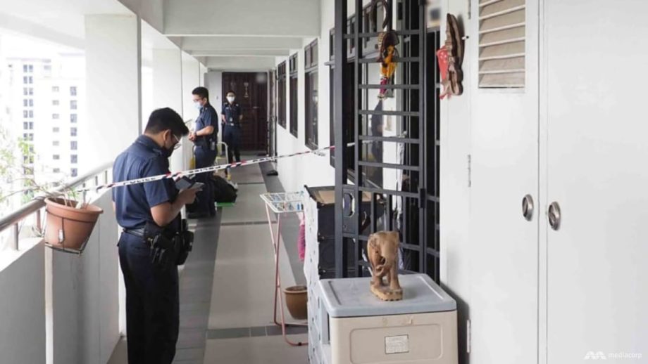 Woman who killed adoptive father over Sengkang flat loses appeal against 18-year jail term