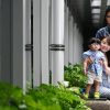2-year-old Singapore boy is one of estimated 400 in world with disease caused by single altered gene, Singapore News