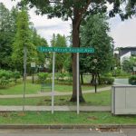 Unwell delivery rider dies after falling into Tanah Merah condo pool, Singapore News