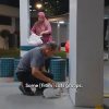‘80% from our own money’: This couple has been feeding stray cats in Bedok for 16 years, Lifestyle News