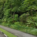 Massive tax bill clouds sale of Singapore land by Malaysian king’s son