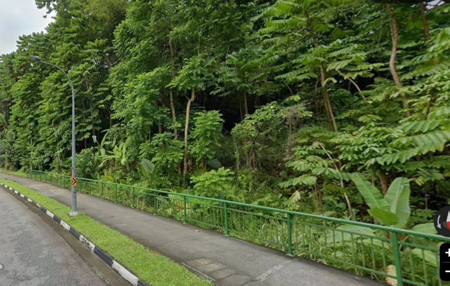Massive tax bill clouds sale of Singapore land by Malaysian king’s son