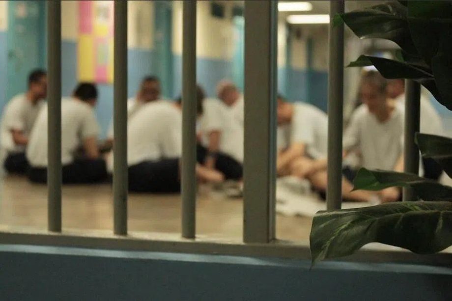 Singapore Govt open to using chemical castration to tackle sex crimes if proven effective: minister