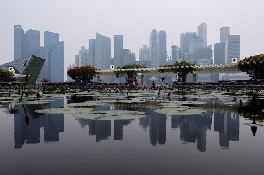 Transboundary haze reaches southern Vietnam as Singapore’s central region turns unhealthy