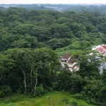No plans to designate Tagore forest as a nature reserve: Chee Hong Tat