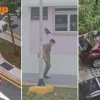 Resident witnesses multiple crow attacks in Bishan