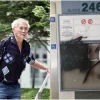Contractor jailed for damaging rival ads in BTO estates