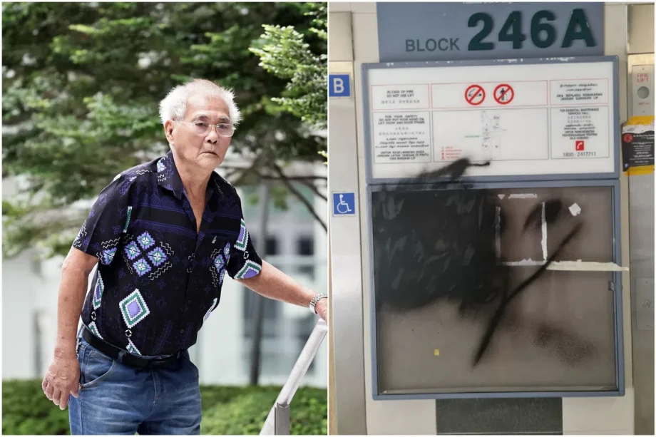 Contractor jailed for damaging rival ads in BTO estates