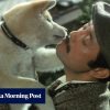 Loved Heart of the Beast? 10 of the best dog movies where the canine takes the lead