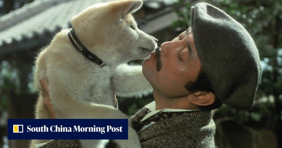 Loved Heart of the Beast? 10 of the best dog movies where the canine takes the lead Loved Heart of the Beast? 10 of the best dog movies where the canine takes the lead