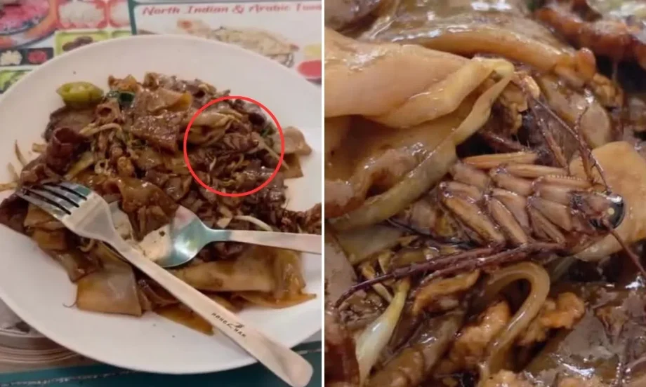 Serangoon eatery rejects ,000 cockroach food claim Serangoon eatery rejects ,000 cockroach food claim