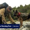 Review | Heart of the Beast review: Brad Pitt and his loyal combat dog brave the Alaskan wilderness