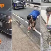 Strangers rescue bird together on Orchard Road