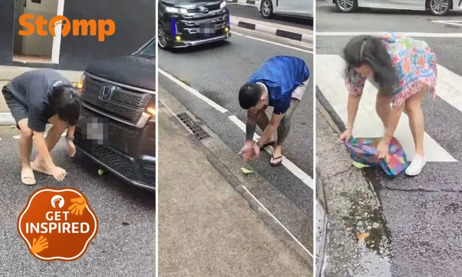 Strangers rescue bird together on Orchard Road Strangers rescue bird together on Orchard Road