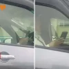 Man seen using phone while driving on Keppel Viaduct