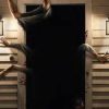 Resident Evil Director Says There’s “No Chance” He’d Survive His Own Movie