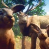 GTA 6’s Extended Look Trailer Seemingly Paid Off For Netflix With Massive Viewership