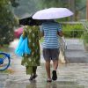 Thundery showers over northern, eastern Singapore on Sept 20 afternoon, Singapore News
