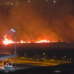Fire burns down 4-hectare area in Sungei Kadut , Singapore News