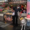 More assistance dogs allowed in S’pore eateries from Nov 1