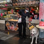 More assistance dogs allowed in S’pore eateries from Nov 1