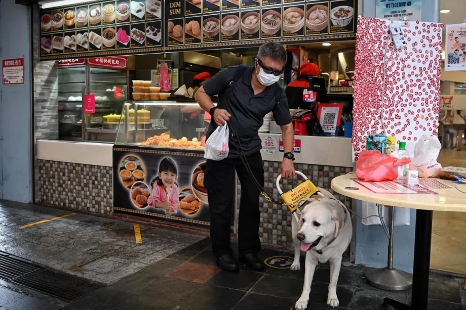 More assistance dogs allowed in S’pore eateries from Nov 1
