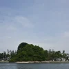 New m marine science institute launched in Singapore