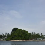 New m marine science institute launched in Singapore