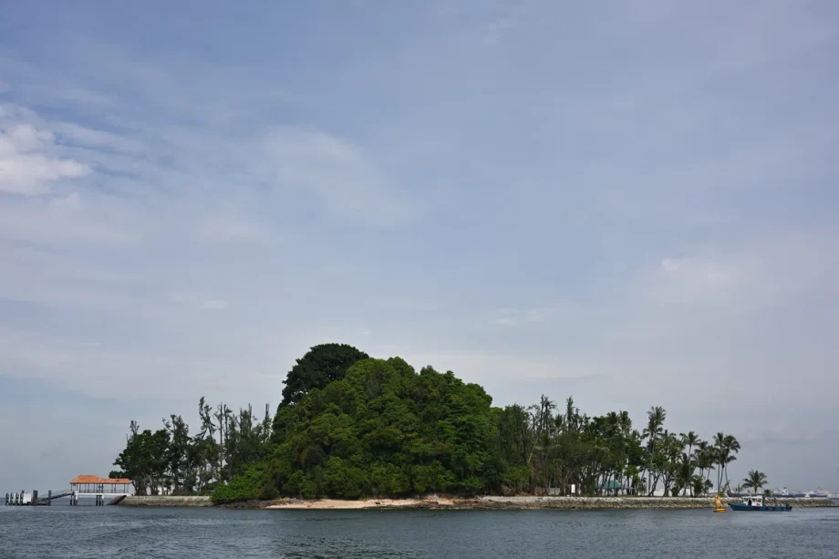 New m marine science institute launched in Singapore