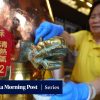 Ancient wisdom, modern lives: Hong Kong’s TCM evolution