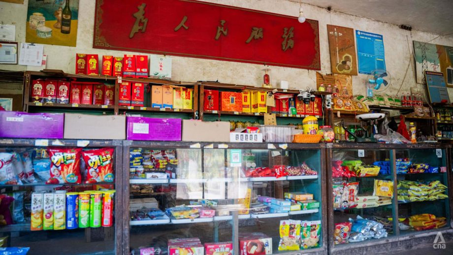 More than ordinary shops: China strengthens a decades-old network for an age of disruption